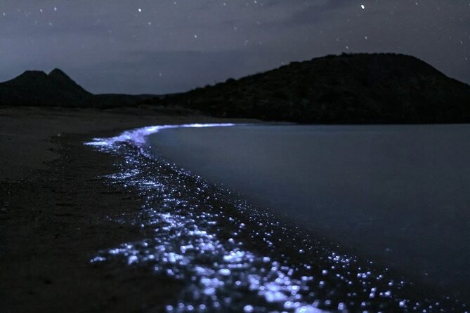 Bioluminescent Plankton Kayak Boat Tour - Key points before you book