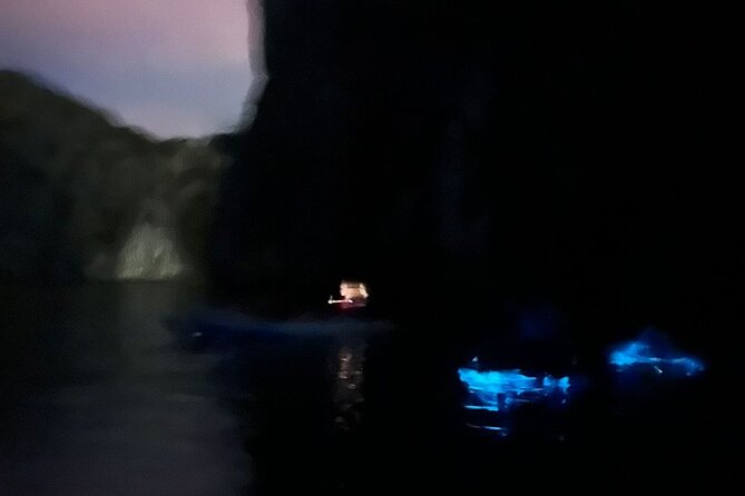 Bioluminescent Plankton Kayak Boat Tour - Kayaking under the moonlight