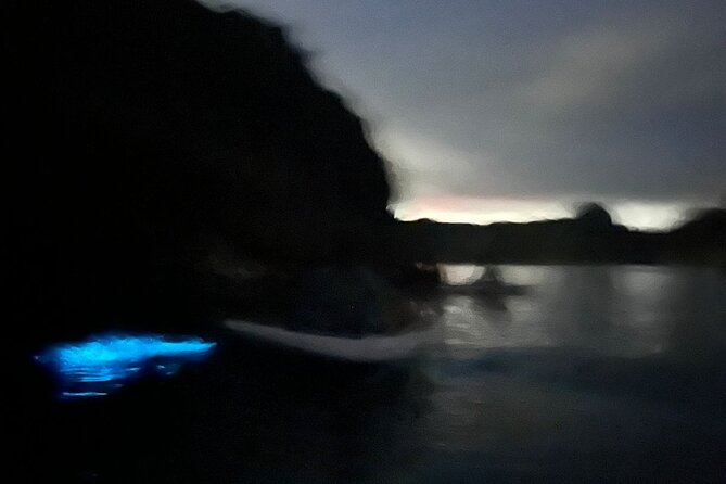 Bioluminescent Plankton Kayak Boat Tour - Who should book this Cat Ba evening?
