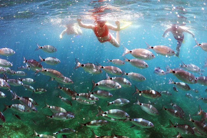 BOAT & KAYAK! Sea Adventure - Snorkeling & Cliff Jumps - Key things to know before booking
