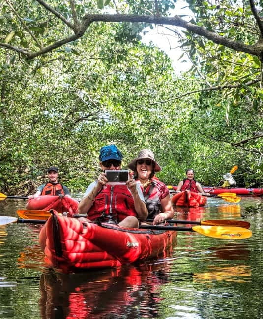 Bohol: SUSTAINABLE Mangrove Tunnels & Firefly Kayaking trail - Key points to know before booking