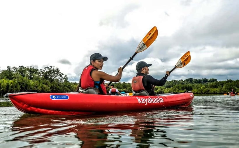 Bohol: SUSTAINABLE Mangrove Tunnels & Firefly Kayaking trail - Why the Abatan River is worth your evening