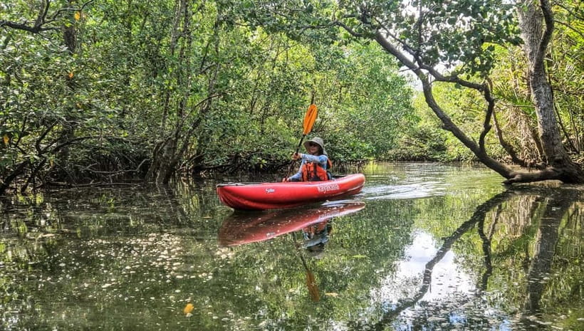 Bohol: SUSTAINABLE Mangrove Tunnels & Firefly Kayaking trail - Getting ready at the river station