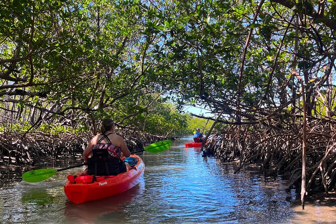 Bonita Springs Eco Kayak Tour – Best Gear, Premium&Clear Kayaks - Key points to know before you book