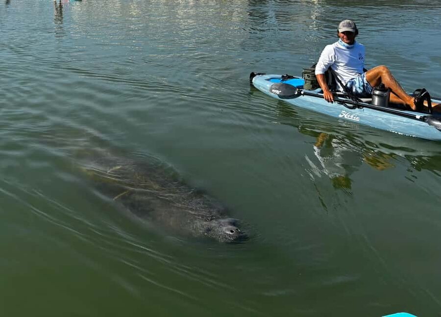 Bonita Springs: Kayak Tour with Manatees, Dolphins Sightings - Key points to know before booking