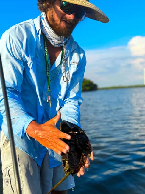 Bonita Springs: Kayak Tour with Manatees, Dolphins Sightings - Through mangrove tunnels and shallow flats