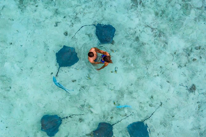 Bora Bora Snorkel Cruise by Polynesian Outrigger Canoe with BBQ Island Lunch - The coral garden is the strongest snorkel stop