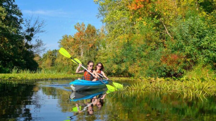 Bosa: Temo River Kayak Rental - Key points to know before you book