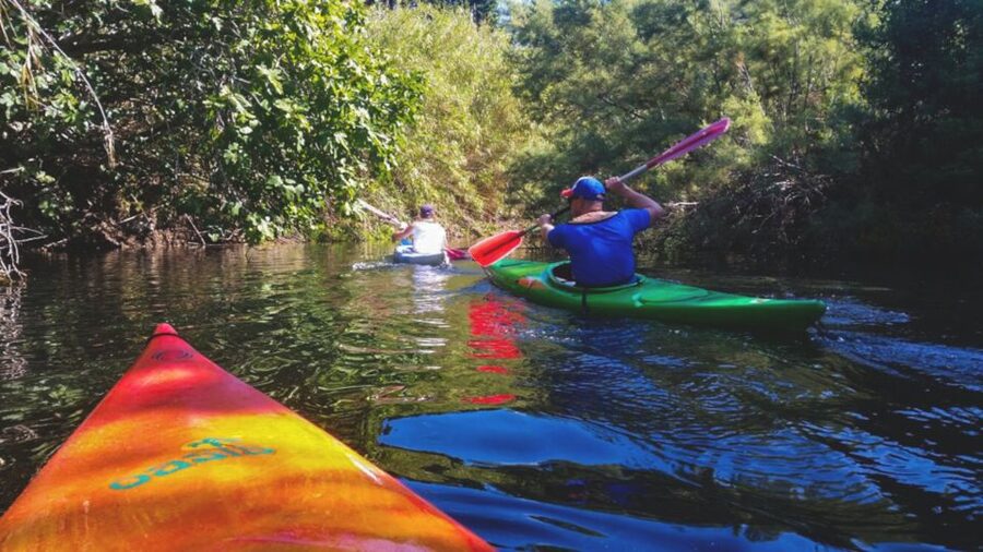 Bosa: Temo River Kayak Rental - Should you book the Temo River kayak rental?