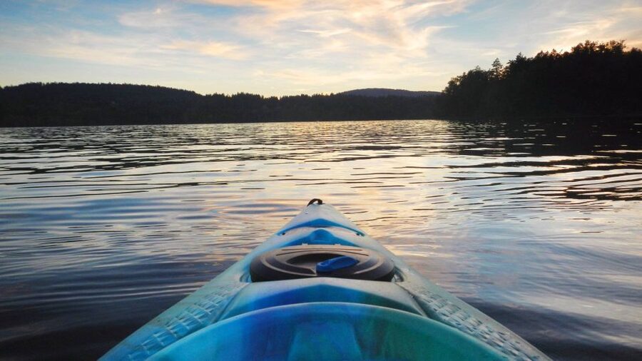 Bosa: Temo River Kayak Rental - Nature, wildlife, and quiet stretches