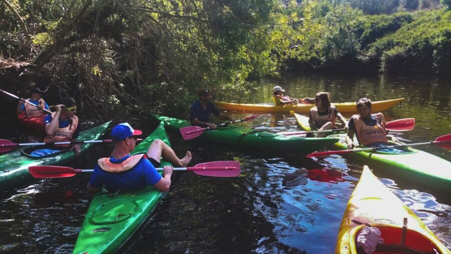 Bosa: Temo River Kayak Rental - Choosing between the three routes