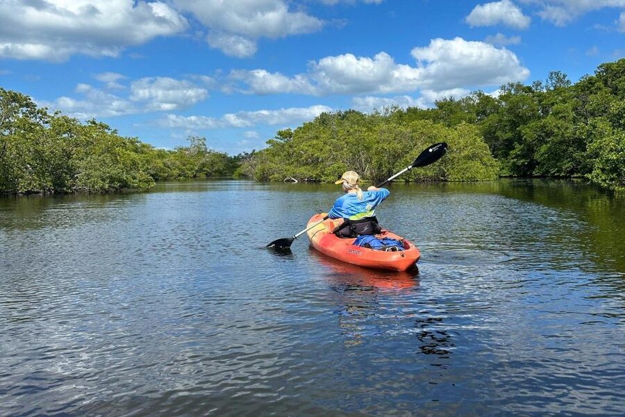 Bradenton: Anna Maria Island Guided Kayaking Manatee Tour - Quick reasons to consider this tour