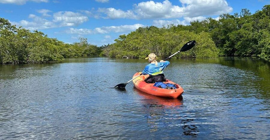 Bradenton: Anna Maria Island Guided Kayaking Manatee Tour - Beaches, mangroves, and Robinson Preserve