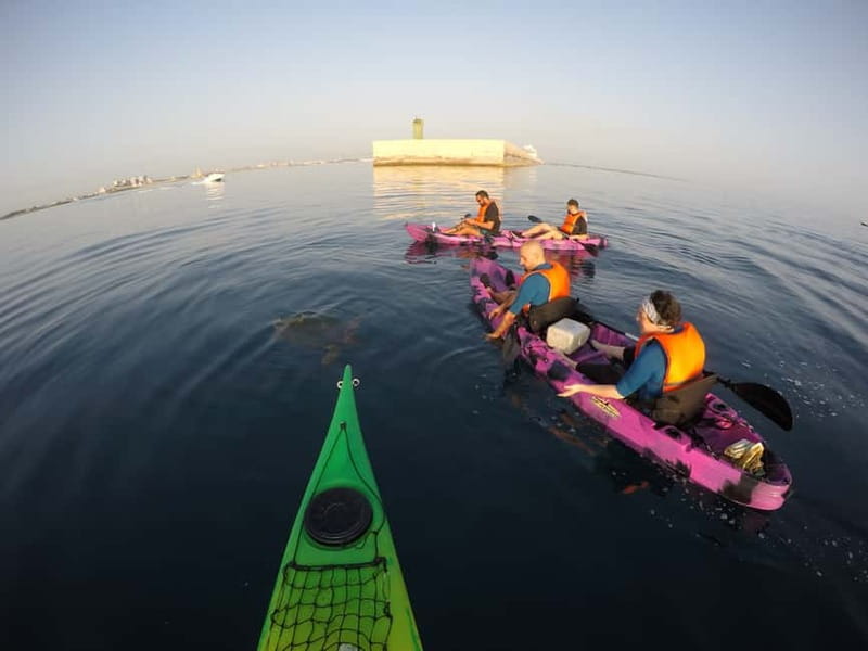 Brindisi: Kayaking at Sant'Andrea Island - Price, transport, and practical value