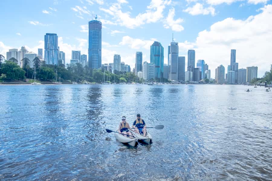 Brisbane: Guided River Kayak Tour - Key points to know before you book