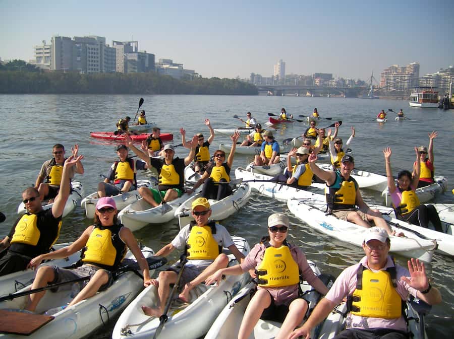Brisbane: Guided River Kayak Tour - The practical value of $46