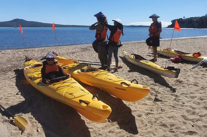 Browns Island Motukorea Sea Kayak Tour - The two-hour island stop