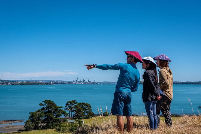 Browns Island Motukorea Sea Kayak Tour - Returning to St Heliers by kayak