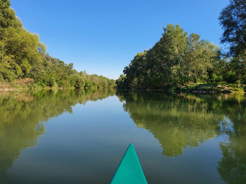 Budapest: Canoeing the Danube w or wo Sauna or Danube Beach - Should you book this Danube canoe trip?