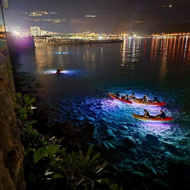 Budva: Night Lights Kayaking Tour - Key points to know before you go