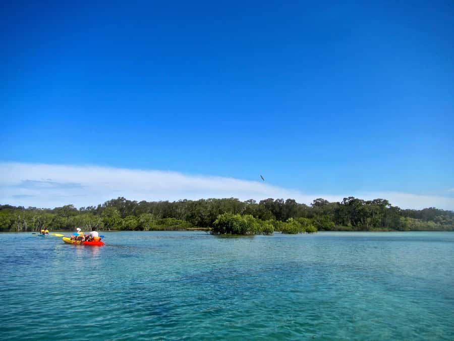 Byron Bay: Brunswick River Scenic Kayak Tour - Is $42 a fair price?