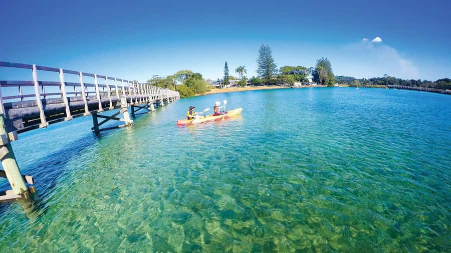 Byron Bay: Brunswick River Scenic Kayak Tour - Why this Brunswick River paddle is worth your morning
