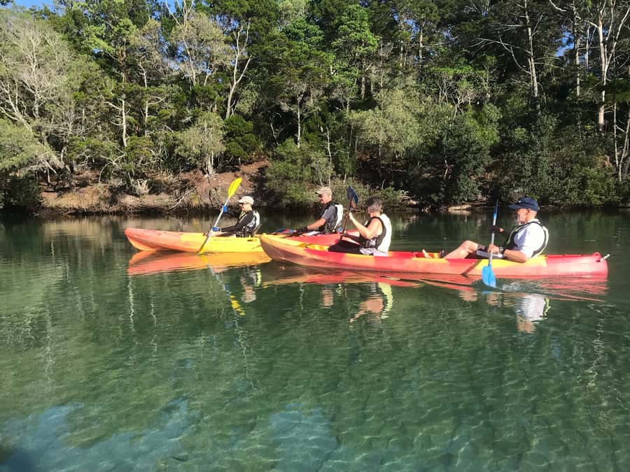 Byron Bay: Brunswick River Scenic Kayak Tour - Mangroves, river ecology, and Northern Rivers culture