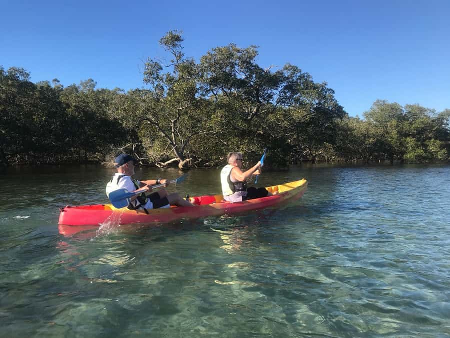 Byron Bay: Brunswick River Scenic Kayak Tour - A secluded beach break with snacks and a swim
