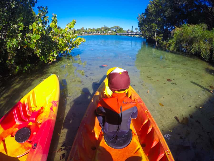 Byron Bay: Brunswick River Scenic Kayak Tour - How strenuous is the kayaking?
