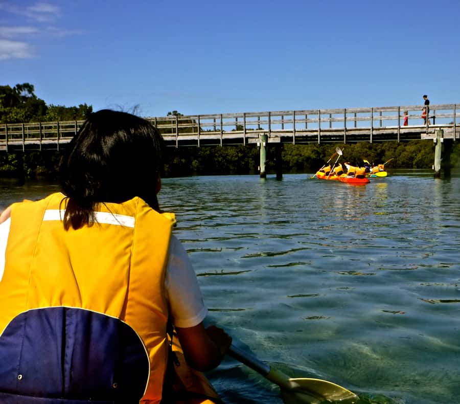 Byron Bay: Brunswick River Scenic Kayak Tour - Photos included, without carrying the whole day yourself