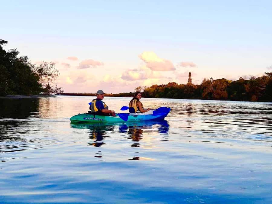 Byron Bay: Brunswick River Sunset Kayak Tour - Sunset, mangroves, and the value of a quiet pace