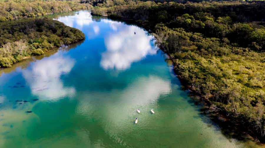 Byron Bay: Group 2.5 Hour Stand-Up Paddle Board Tour - Key points to know before booking