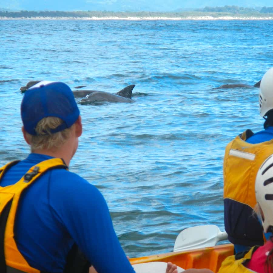 Byron Bay: The Byron Bay Sea Kayak Tour - What the 150-minute Byron Bay kayak trip is really like