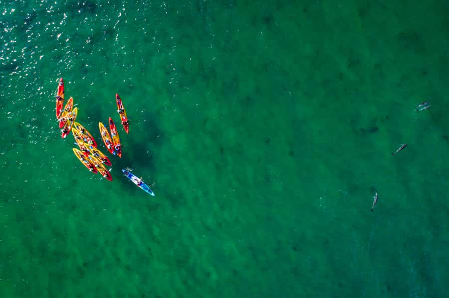 Byron Bay: The Byron Bay Sea Kayak Tour - Guides are the strongest part of the experience