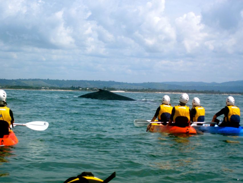 Byron Bay: The Byron Bay Sea Kayak Tour - Is $63 good value for Byron Bay?