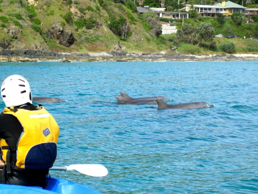 Byron Bay: The Byron Bay Sea Kayak Tour - The beach lesson makes the ocean less intimidating