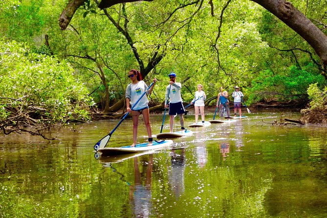 Byron Stand Up Paddle Nature Tour - Key points at a glance