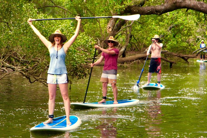 Byron Stand Up Paddle Nature Tour - Starting on land before you take to the water
