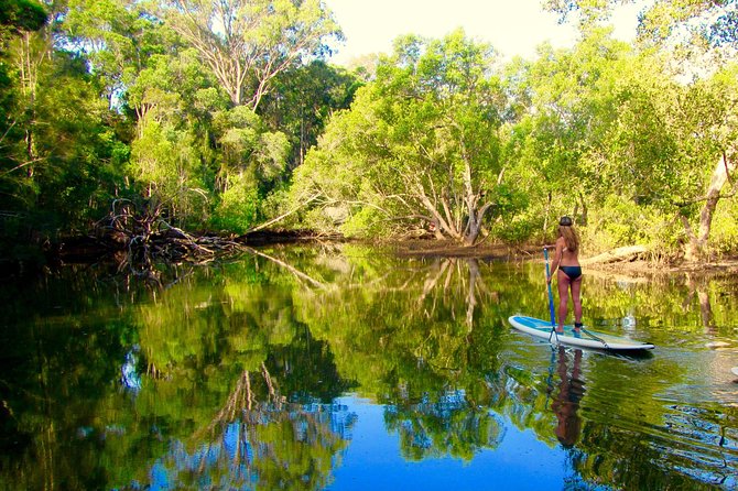 Byron Stand Up Paddle Nature Tour - How much value you get for $71.01