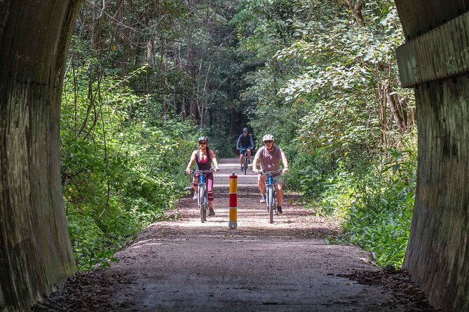 Byron Stand Up Paddle Nature Tour - Who will enjoy this two-hour outing