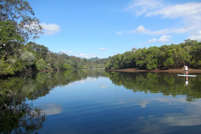 Byron Stand Up Paddle Nature Tour - Following the river through Cape Byron Marine Park