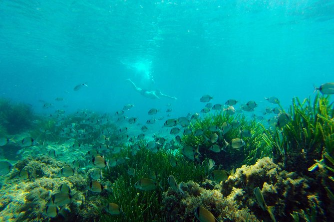 Cabo de Gata Active. Guided kayak and snorkel route through coves of the Natural Park - Time on the water and physical effort