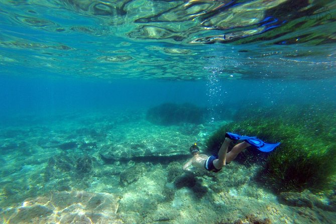 Cabo de Gata Active. Guided kayak and snorkel route through coves of the Natural Park - Who should book this experience?