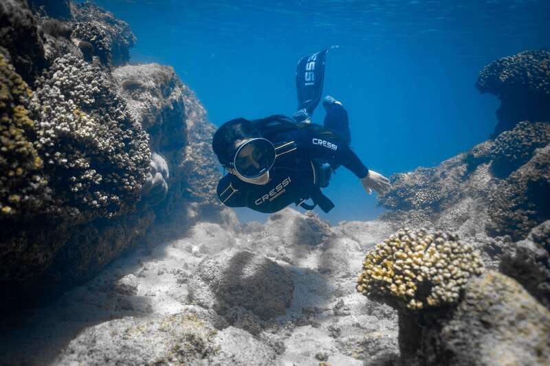 Cabo: Half-Day Kayak & Snorkel to Santa Maria & Chileno Bay - Chileno Bay: reef, tidal pools, and a sandy break