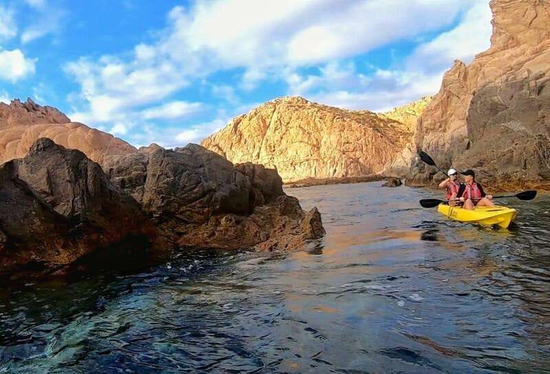 Cabo: Half-Day Kayak & Snorkel to Santa Maria & Chileno Bay - Whale season and what you might see