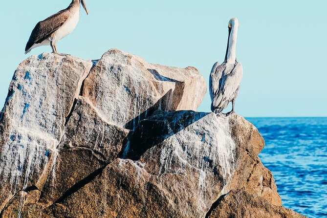 Cabo Private Catamaran: Chill Experience with Sup and Float Mat - Weather and cancellation rules
