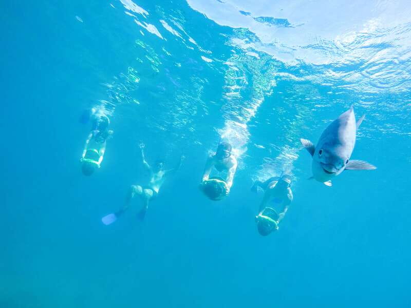 Cabo San Lucas: Snorkel, Paddle-board, and/or Kayak Tour - Four water activities in one Cabo outing