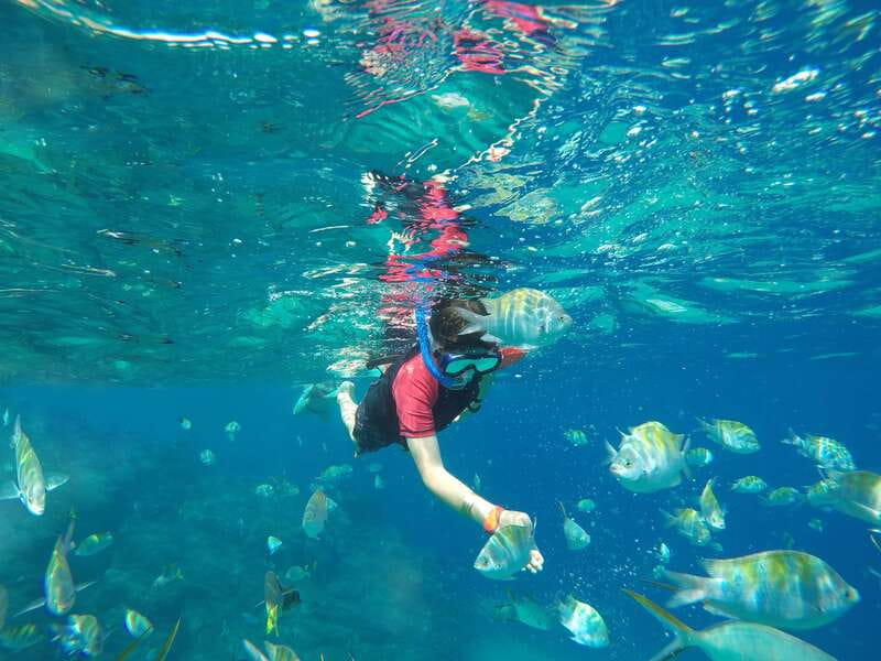 Cabo San Lucas: Snorkel, Paddle-board, and/or Kayak Tour - Who will enjoy this tour most