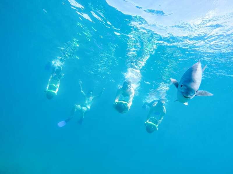 Cabo San Lucas: Snorkel, Paddle-board, and/or Kayak Tour - Timing, pickup, and what to bring