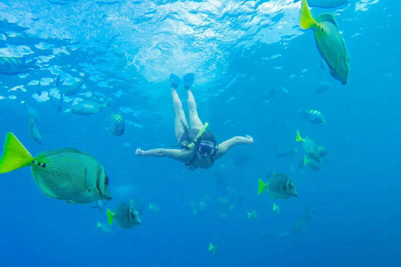 Cabo San Lucas: Snorkel, Paddle-board, and/or Kayak Tour - Reaching the snorkeling area by Apex boat